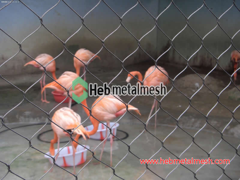 best mesh for flamingo enclosure -2” mesh