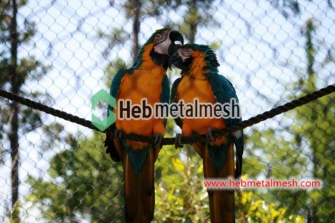 Photo inspiration: Creating The Perfect Macaw Enclosure Ideas And Requirements Photo Inspiration