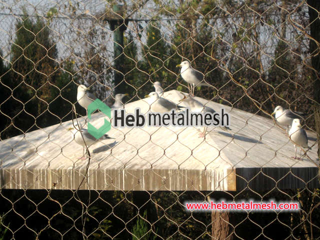 zoo mesh