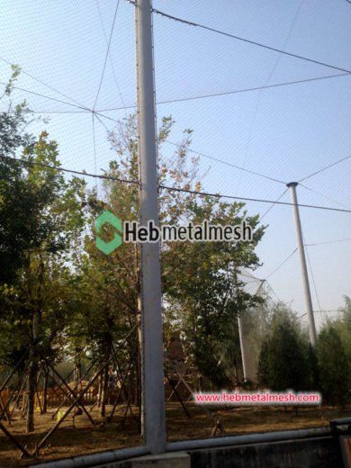 View of Bird Enclosure Netting: A Safe Haven for Avian Friends