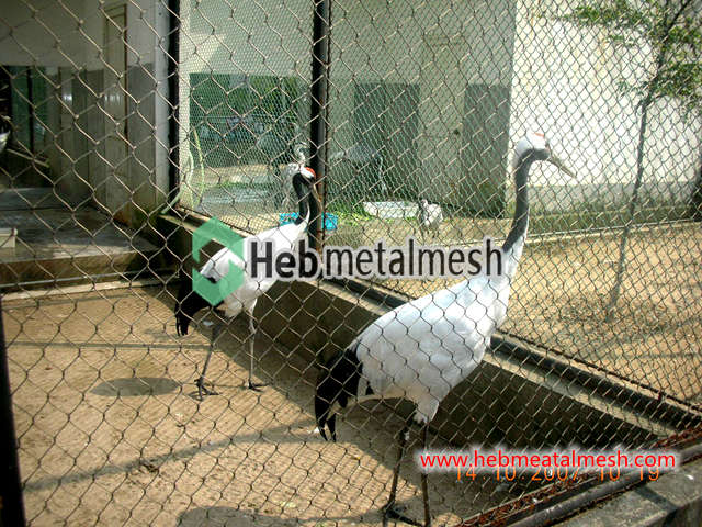 best mesh for crane enclosure – 2” mesh