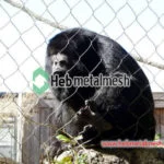 malla zoológico