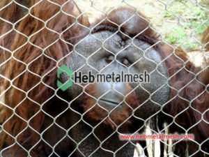 Choosing the right kind of wire mesh fencing