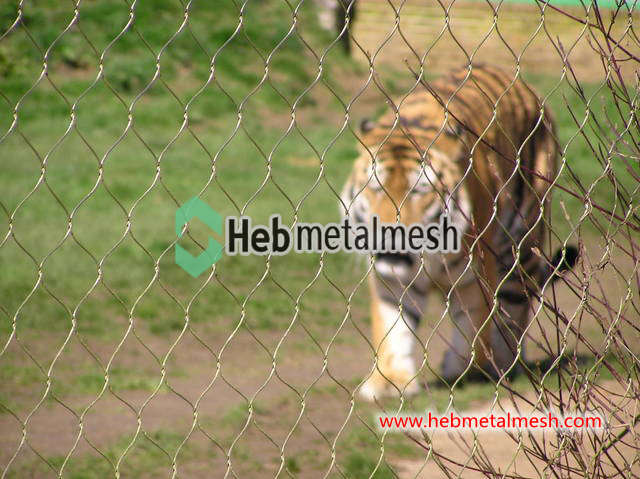 Tiger fence, stainless steel rope mesh, animal enclosure mesh, zoo mesh, bird aviary netting
