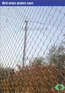 zoo mesh