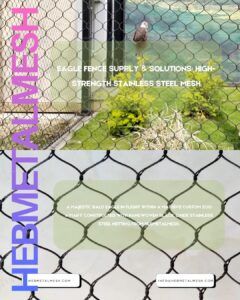 A majestic Bald Eagle in flight within a massive custom zoo aviary constructed with handwoven black oxide stainless steel netting from Hebmetalmesh.