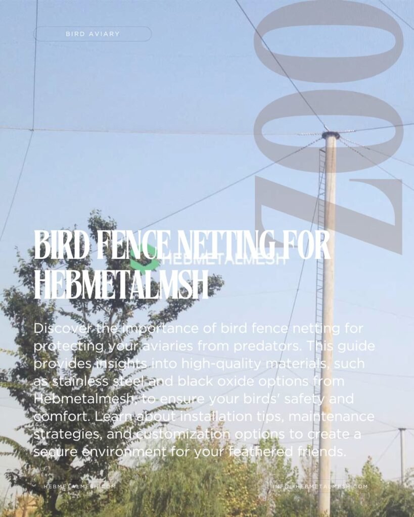 The Ultimate Guide to Bird Fence Netting: Protecting Your Aviaries with Hebmetalmesh