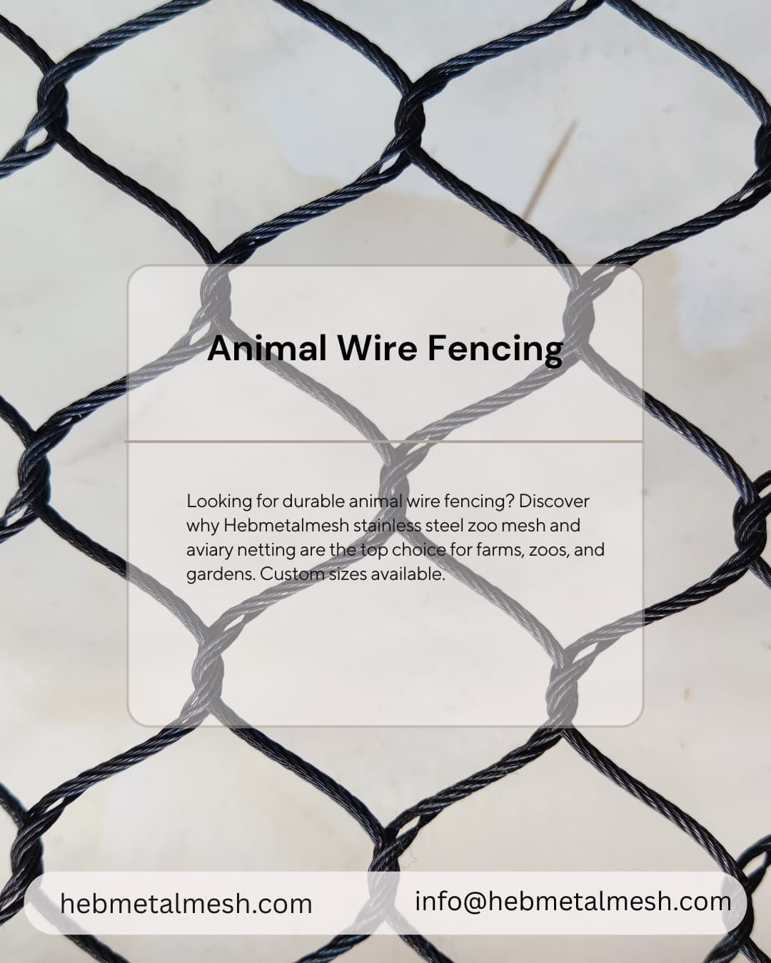 animal-wire-fencing Black oxide animal wire fencing for zoo enclosure