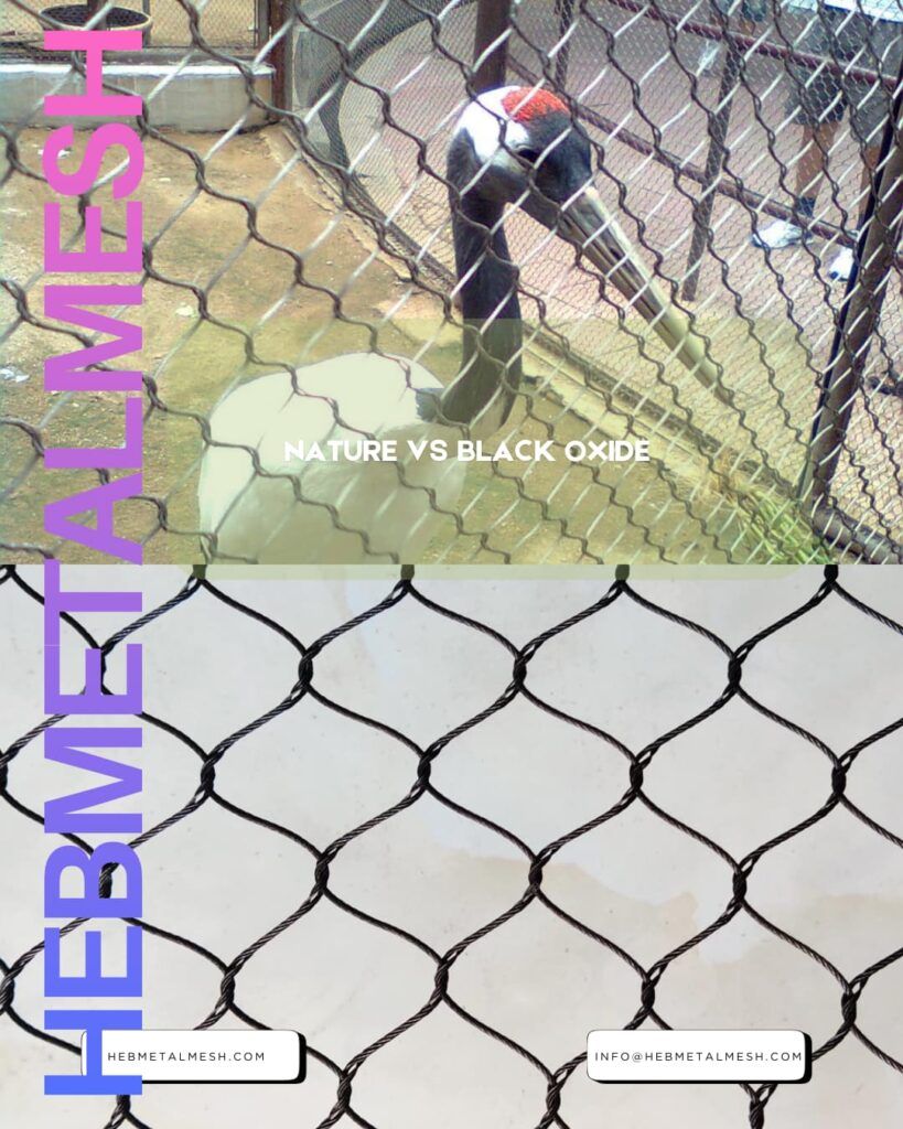 Comparison of black oxide finish and natural stainless steel mesh for bird visibility.