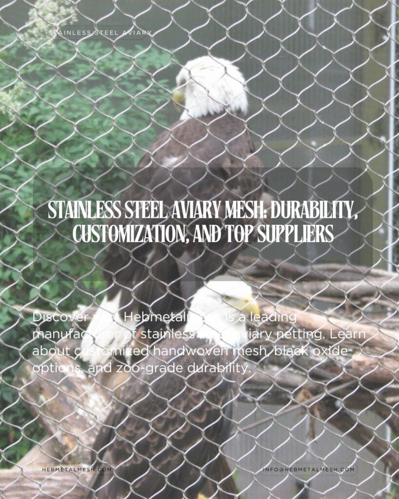 An image for an 'eagle fence supply' article, featuring two Bald Eagles in an enclosure behind high-tensile, handwoven stainless steel wire aviary netting.