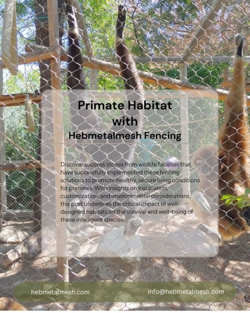 Creating Safe and Durable Primate Habitats with Hebmetalmesh Fencing Solutions