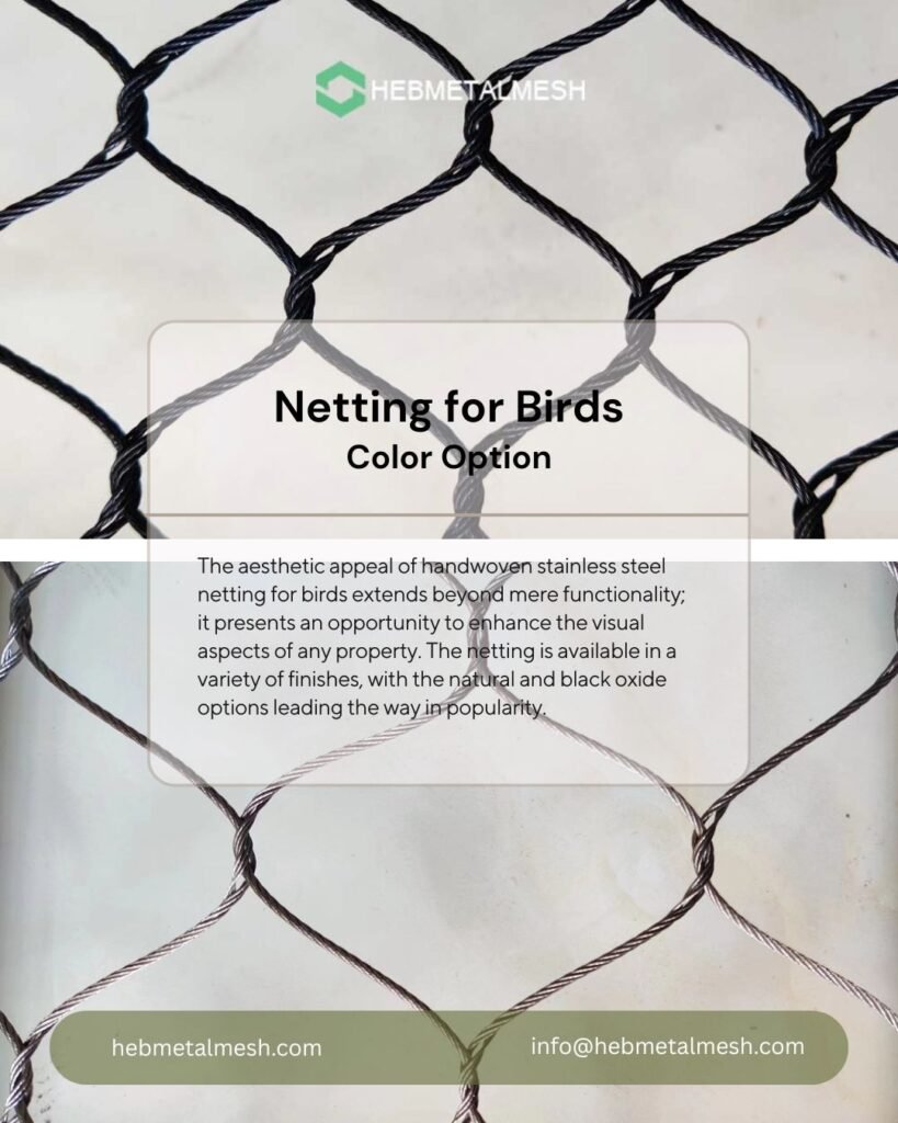 Hebmetalmesh supply nature and black oxide stainless steel netting for birds