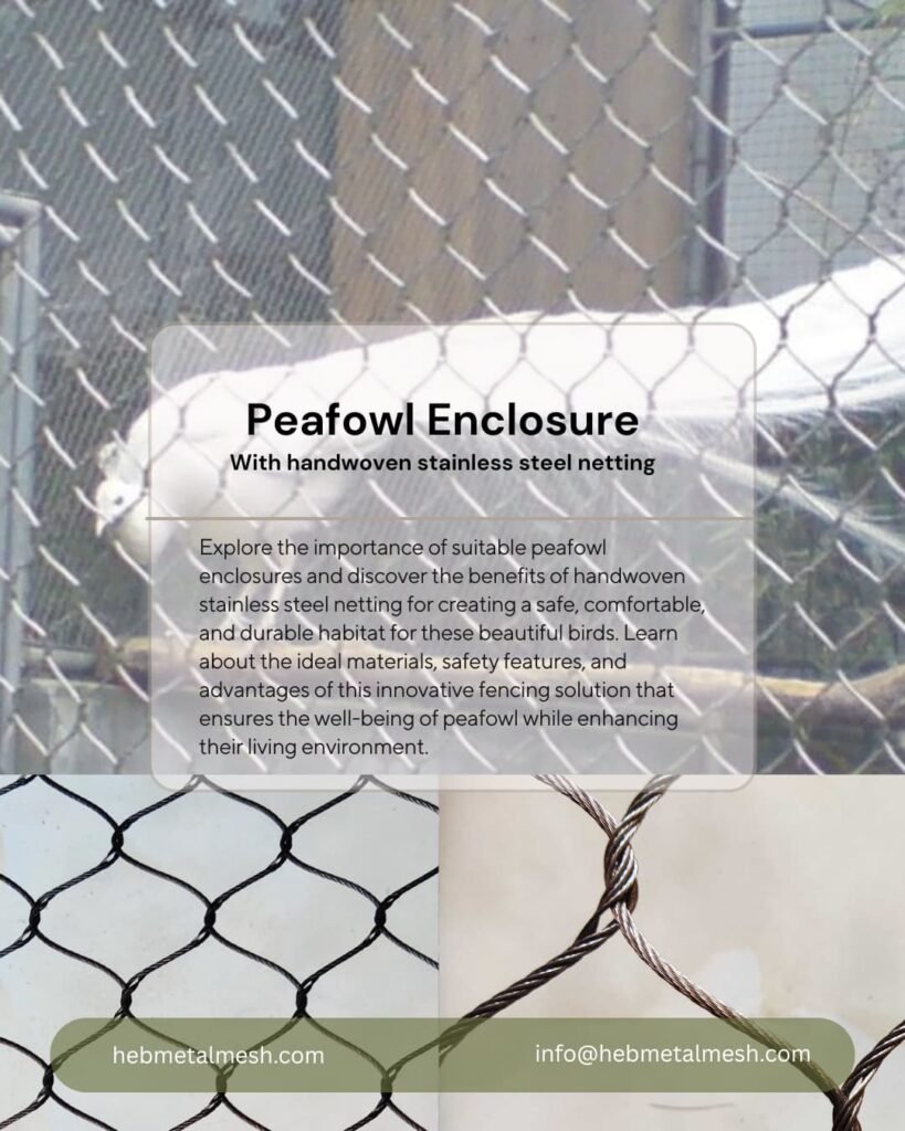 The Advantages of Using Handwoven Stainless Steel Netting for Peafowl Enclosures