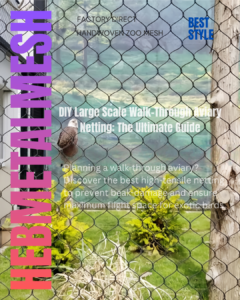 A large-scale, DIY walk-through aviary featuring high-transparency stainless steel rope mesh, providing a secure and immersive environment for exotic birds