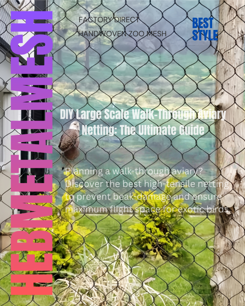 A large-scale, DIY walk-through aviary featuring high-transparency stainless steel rope mesh, providing a secure and immersive environment for exotic birds