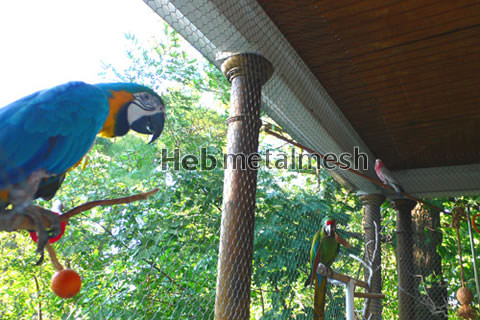 Macaw enclosure mesh, stainless steel rope mesh, animal enclosure mesh, zoo mesh, bird aviary netting