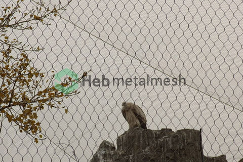 eagle fence, stainless steel rope mesh, animal enclosure mesh, zoo mesh, bird aviary netting