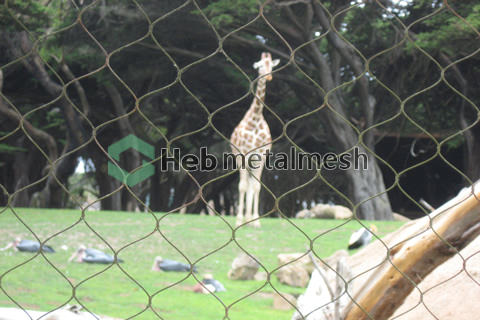 deer fence netting, stainless steel rope mesh, animal enclosure mesh, zoo mesh, bird aviary netting