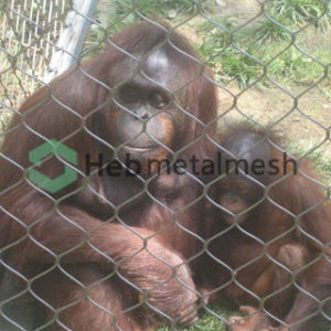 Gibbon enclosure mesh