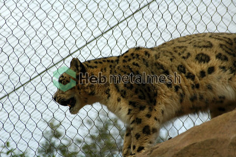 Zoo mesh for Leopard enclosure