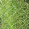 Choosing the right kind of wire mesh