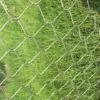 Выбор правильного вида проволочной сетки