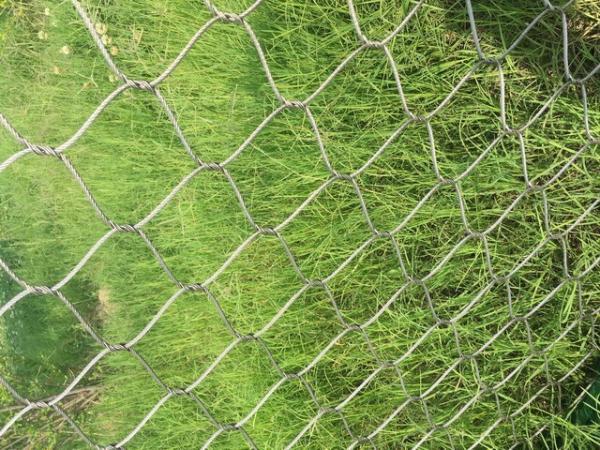 Choosing the right kind of wire mesh