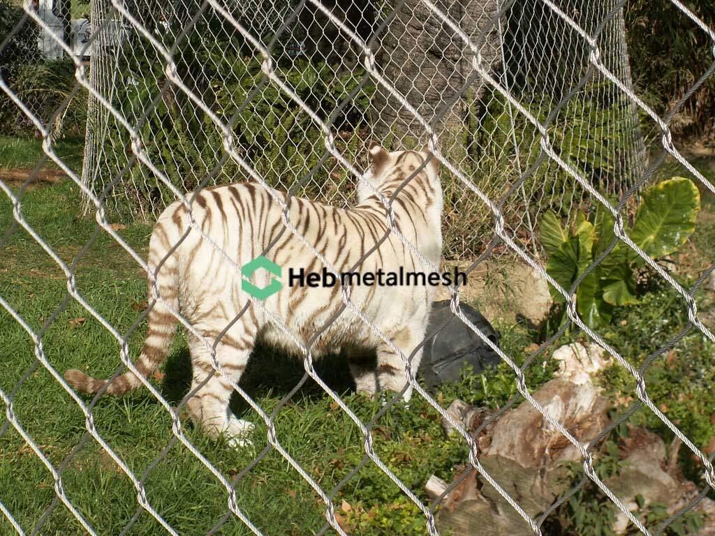 tiger enclosure fence