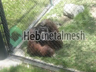 Ape protection fence, Ape enclosures netting, Ape exhibit control mesh