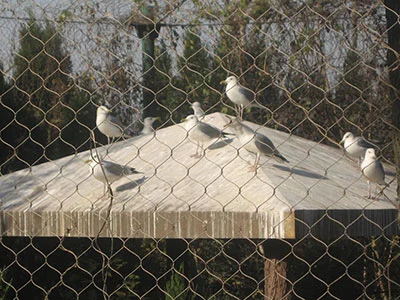 Aviary mesh & netting for birds