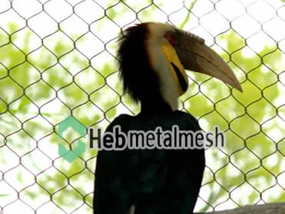 Wire mesh for toucan exhibit