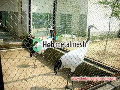Aviary netting for Red-crowned crane enclosures Different types of aviary netting