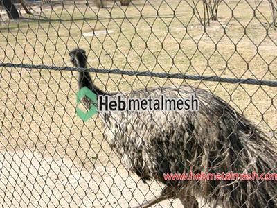 Ostrich exhibit, Ostrich cages, Ostrich enclosures mesh Choosing the right aviary netting