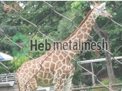 zoo mesh for giraffe exhibit, giraffe cage mesh, giraffe fencing 