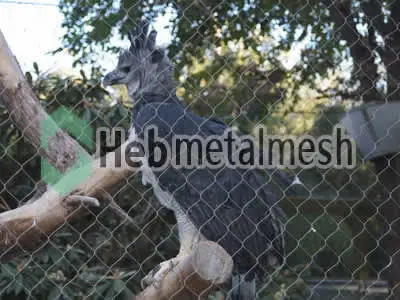 zoo enclosure for eagle exhibit mesh
