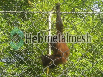 Gibbon Protection Netting, Gibbon enclosure mesh