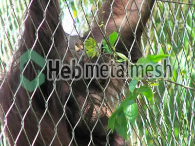 Wire Mesh for Gorilla Exhibit Fence