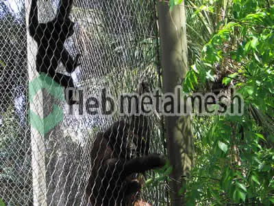 Stainless Steel Mesh for Gorilla Control Netting