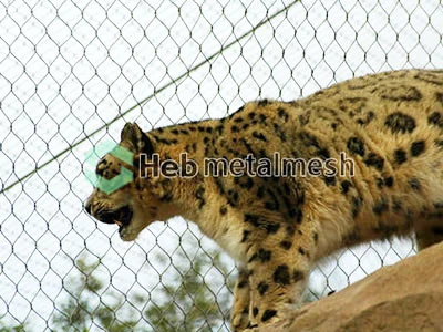 Netting for leopard enclosure
