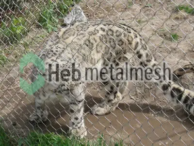 stainless steel mesh for leopard protection netting, leopard barrier mesh