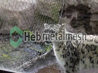 stainless steel leopard roof netting,leopard perimeter mesh, leopard fencing
