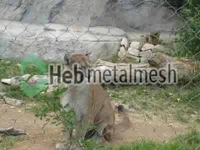 zoo enclosures for lions