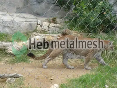 zoo lion enclosures plans