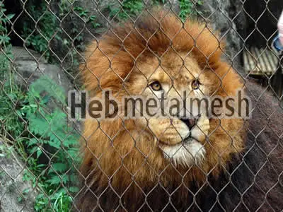 stainless steel mesh for lions