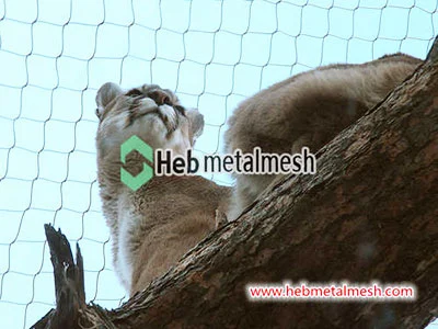 Netting for lion enclosure and lion barrier