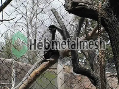 zoo enclosures for sale