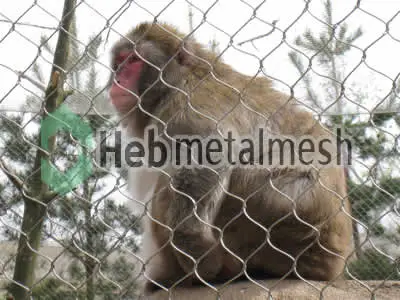 Factory supplies for monkey exhibit fencing mesh, monkey enclosures mesh
