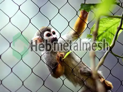 stainless steel monkey roof netting,monkey perimeter mesh, monkey fencing