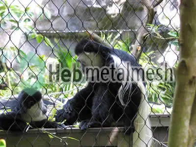Monkey protection fence, enclosures netting specifications