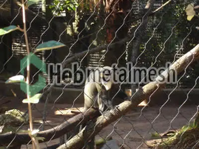 zoo monkey enclosures plans